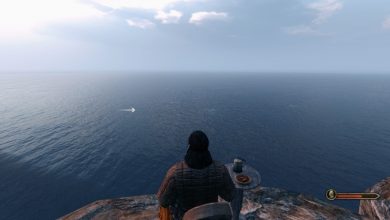 Bannerlord gazing at the sea
